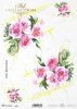 peonia, peonie, piwonia, piwonie, kwiat, ogród, łąka, wiosna, autorka grafiki Maria Kopeć, R906, peony, peonies, flower, garden, meadow, spring, Pfingstrose, Pfingstrosen, Blume, Garten, Wiese, Frühling, peonía, peonías, flor, jardín, prado, primavera